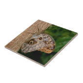 Brown Butterfly Animal Fliese (Seite)