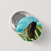 Brown Butterfly Closed Wings Button (Vorne & Hinten)