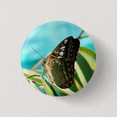 Brown Butterfly Closed Wings Button (Vorderseite)
