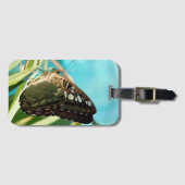 Brown Butterfly Closed Wings Gepäckanhänger (Vorderseite (Horizontal))