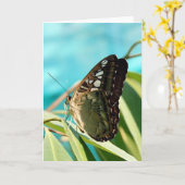 Brown Butterfly Closed Wings Karte (Gelbe Blume)