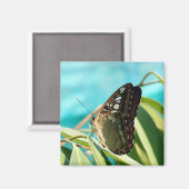 Brown Butterfly Closed Wings Magnet (Vorderseite/Rückseite)