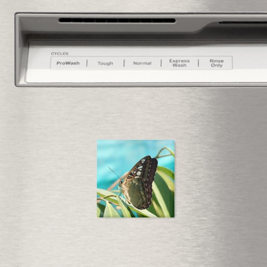 Brown Butterfly Closed Wings Magnet (In Situ (Geschirrspüler))