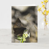 Brown Butterfly Karte (Gelbe Blume)