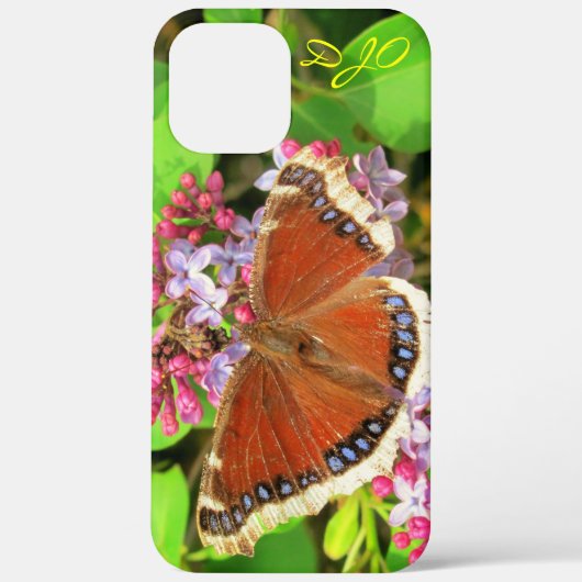 Brown Butterfly mit blauen Flecken auf Lilacs Case (Rückseite)