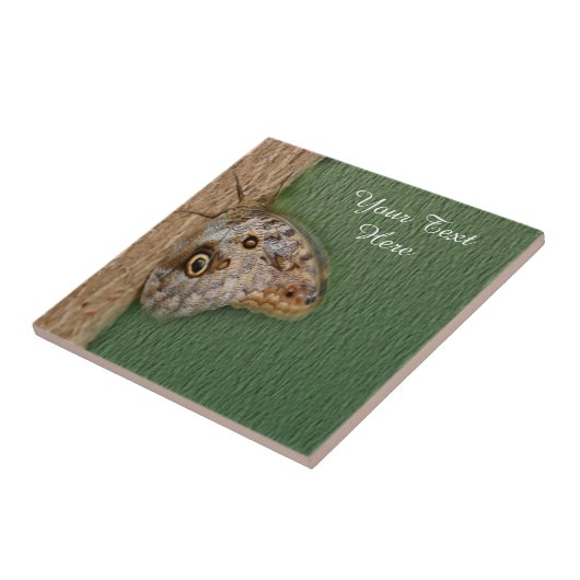 Brown Butterfly Nature Fliese (Seite)