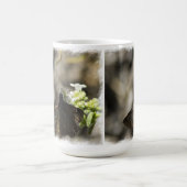 Brown Butterfly on White Kaffeetasse (Mittel)