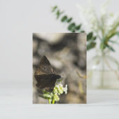 Brown Butterfly Postkarte (Stehend Vorderseite)