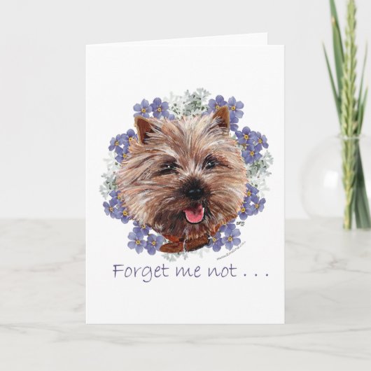 Brown Cairn Terrier Vergiss-me-not Karte (Vorderseite)