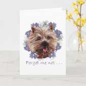 Brown Cairn Terrier Vergiss-me-not Karte (Gelbe Blume)