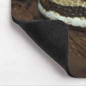 Brown Carpet Python Mousepad (Ecke)