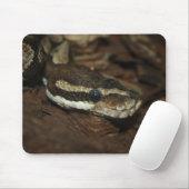 Brown Carpet Python Mousepad (Mit Mouse)