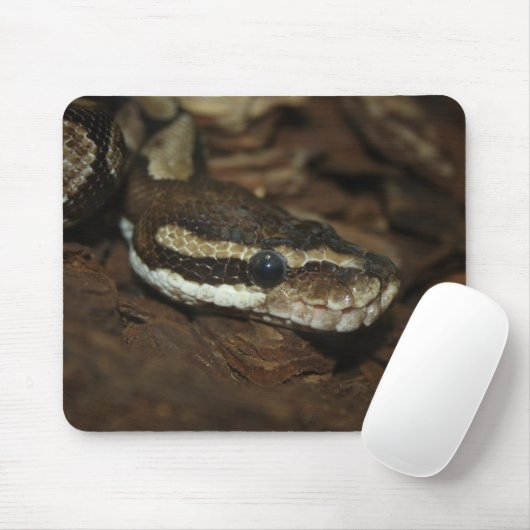 Brown Carpet Python Mousepad (Mit Mouse)
