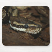 Brown Carpet Python Mousepad (Vorne)