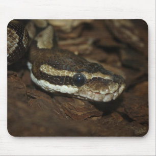 Brown Carpet Python Mousepad