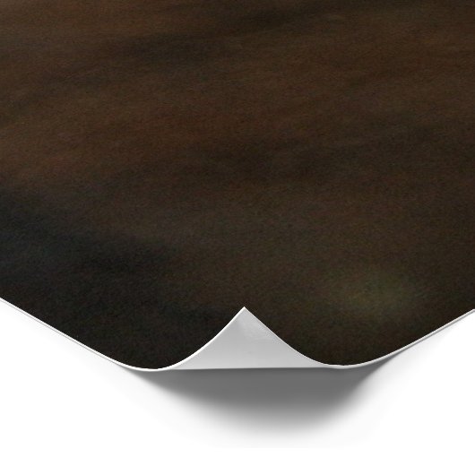 Brown Carpet Python Poster (Ecke)