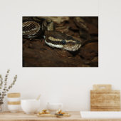 Brown Carpet Python Poster (Küche)
