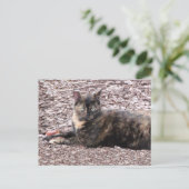 Brown Cat Foto Postkarte (Stehend Vorderseite)