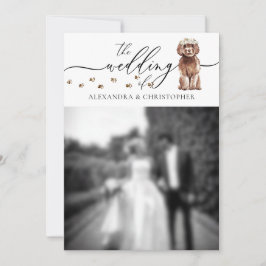 Brown Cavapoo Welpe Wedding Foto Einladung