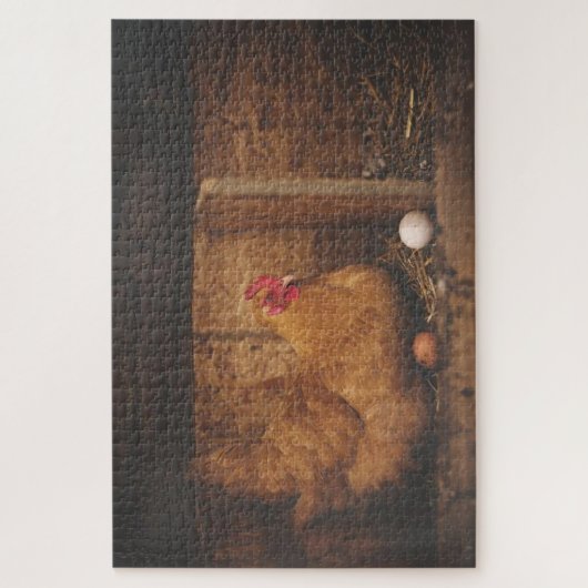 Brown chicken laying eggs puzzle (Vertikal)