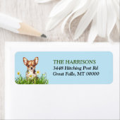 Brown Chihuahua Dog Daffodil Garden (Insitu)