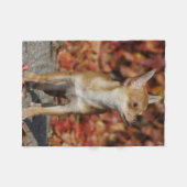 Brown Chihuahua Puppy Fleecedecke (Vorderseite (Horizontal))