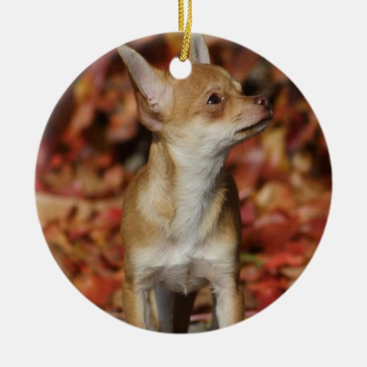 Brown Chihuahua Puppy Keramik Ornament (Vorne)