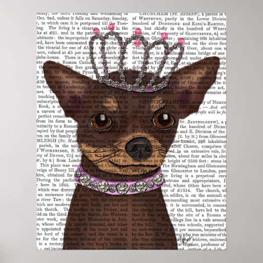 Brown Chihuahua und Tiara Poster (Vorne)