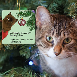 Brown Christmas Ornament Cat