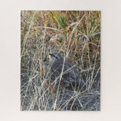 Brown Chukar Partridge fast versteckt Puzzle (Vertikal)