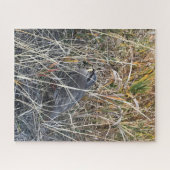 Brown Chukar Partridge fast versteckt Puzzle (Horizontal)