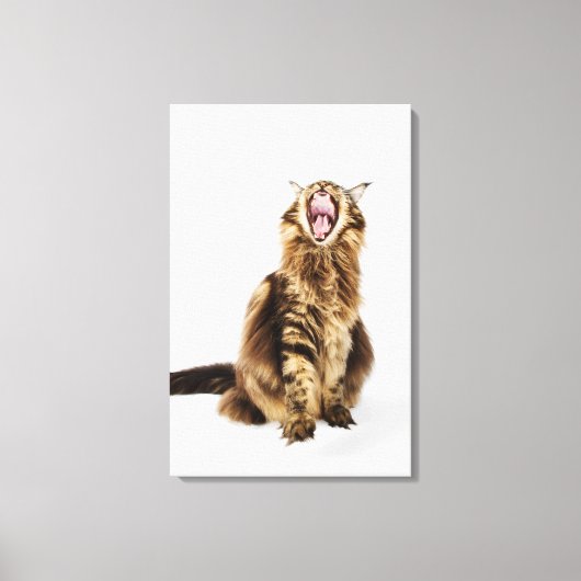 Brown Classic Main Coon Tabby Leinwanddruck (Vorderseite)