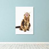 Brown Classic Main Coon Tabby Leinwanddruck (Insitu (Holzboden))