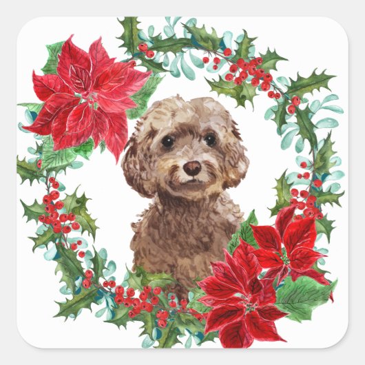Brown Cockapoo Dog Poinsettia Weihnachtsschaden Quadratischer Aufkleber (Vorderseite)