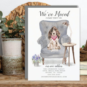 Brown Cocker Spanel Dog   Ankündigung der Beförder