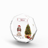 Brown Cocker Spaniel Funny Christmas Dog mit Baum Fotoblock (Rechts)