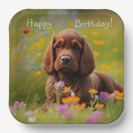 Brown Cocker Spaniel Pappteller (Vorderseite)