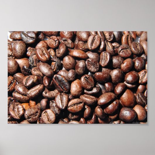 BROWN COFFEE BEANS FOTOGRAFIE BACKGRUNDS FOODS POSTER (Vorne)