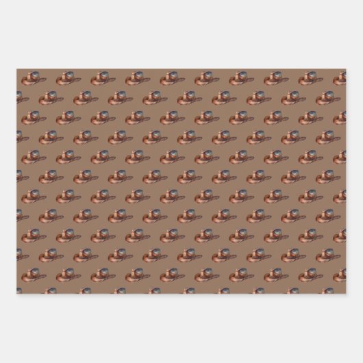 Brown Cowboy Pferde Geschenkpapier Set (Vorderseite 2)