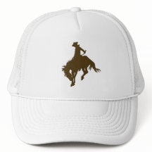 Brown-Cowboy-sträubendes Pferd