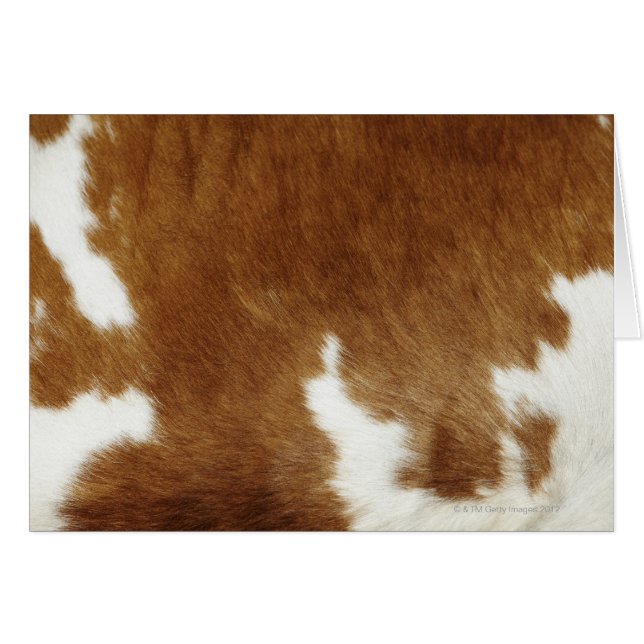 Brown Cowhide Print (Vorderseite (Horizontal))