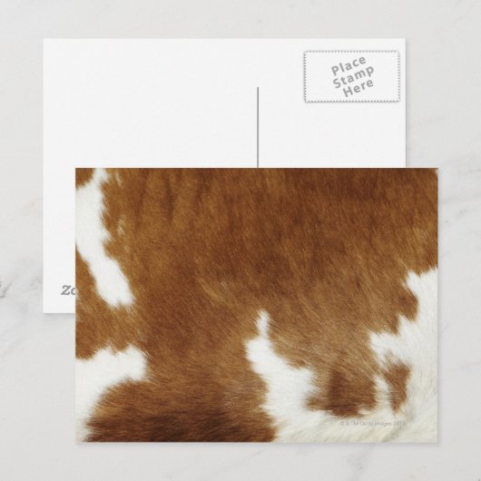 Brown Cowhide Print Postkarte (Vorne/Hinten)