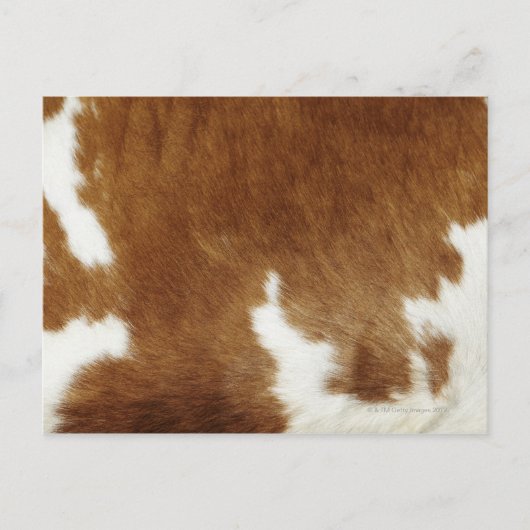 Brown Cowhide Print Postkarte (Vorderseite)