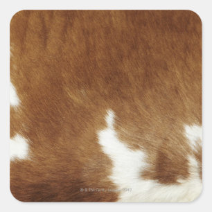 Brown Cowhide Print Quadratischer Aufkleber