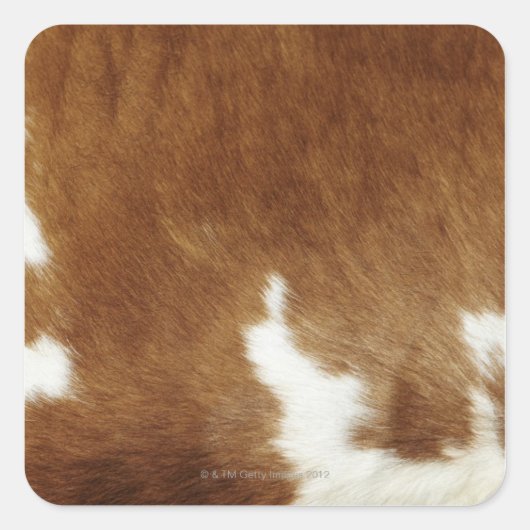 Brown Cowhide Print Quadratischer Aufkleber (Vorderseite)