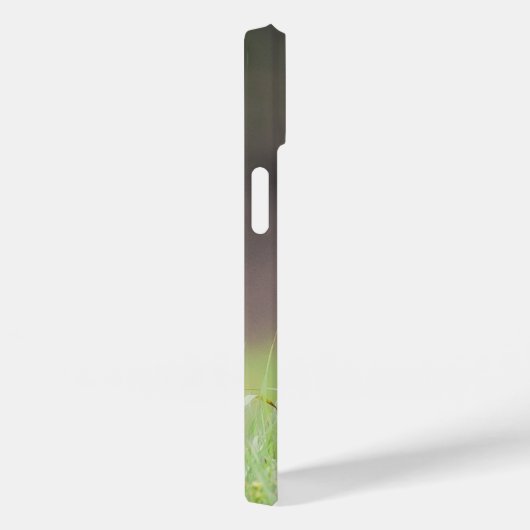 Brown Coyote, kanadische Tierfotografie Case-Mate iPhone Hülle (Rückseite / Rechts)