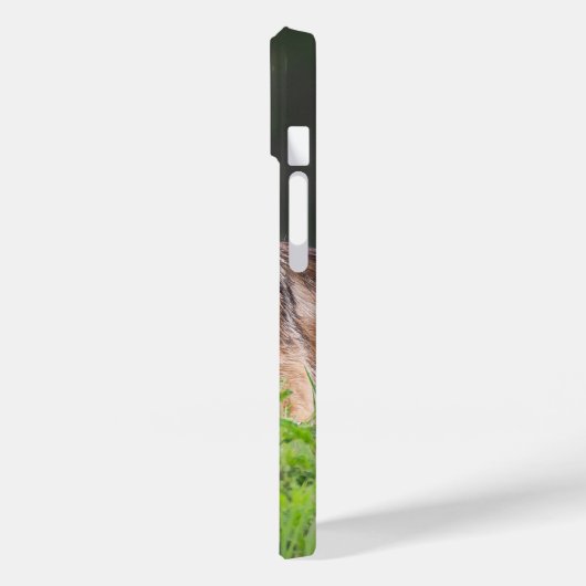 Brown Coyote, kanadische Tierfotografie Case-Mate iPhone Hülle (Rückseite / Links)