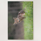 Brown Coyote, kanadische Tierfotografie Puzzle (Vertikal)