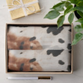 Brown Cream Animal Cowhid Seidenpapier (Geschenk)