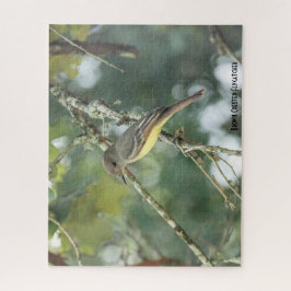Brown Crested Flycatcher, Vogelliebhaber Puzzle